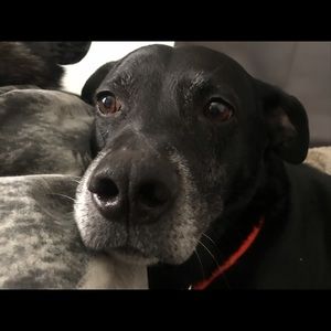 Meet your Posher, Mae